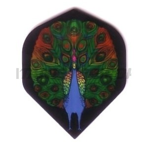 Flight Poly Met Standaard Darsus - 013