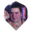 Flight Profdarters Standaard - 335 Steve Coote