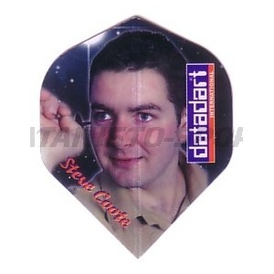 Flight Profdarters Standaard - 335 Steve Coote