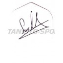 Flight Profdarters Standaard - 043 Steve Beaton