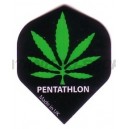 Flight Pentathlon Standaard Darsus - 021