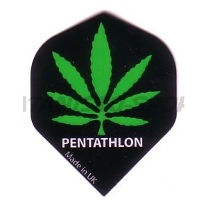 Flight Pentathlon Standaard Darsus - 021