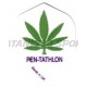 Flight Pentathlon Standaard - 020