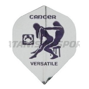 Flight Metalica Standaard - 017