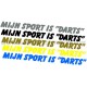 MIJN SPORT IS "DARTS" - (Balloon Extra)