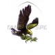 Flight Metronic Pear - 003