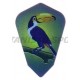 Flight Quazar Fantail - 006