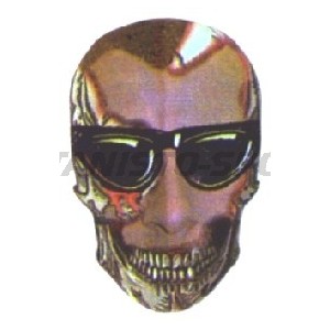 Flight Quazar Skull - 057