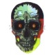 Flight Quazar Skull - 054