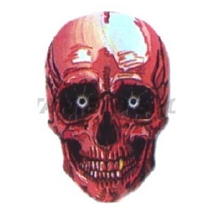 Flight Quazar Skull - 052