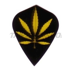 Flight Poly Kite - 014